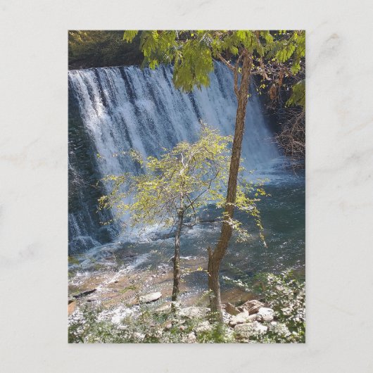 ビッカリークリーク秋ズロズウェルガ ポストカード (正面)