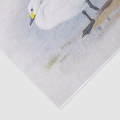 ビックウィックのスワン、鳥のイラストレーション 薄葉紙 (詳細)