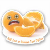 ビックオレンジ シール (正面)