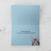 ビッグアイズゴロー子猫 カード (内部)