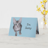 ビッグアイズゴロー子猫 カード (黄色い花)