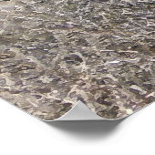 ビッグアイズホワイトシャロレキャトル – 西部 ポスター (角)