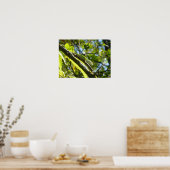 ビッグアイランドゲッコ ポスター (キッチン)