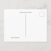 ビッグアイランドハワイパコロレアグリーンサンドビーチ ポストカード (裏面)