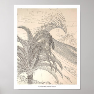 ビッグウェーブ ポスター