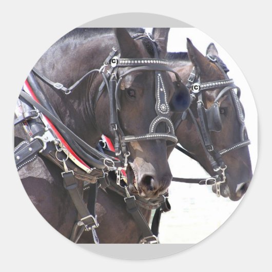 ビッグウマのシール ラウンドシール (正面)