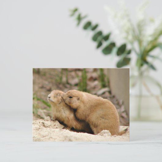 ビッグキス ポストカード (スタンド正面)