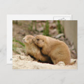 ビッグキス ポストカード (正面/裏面)