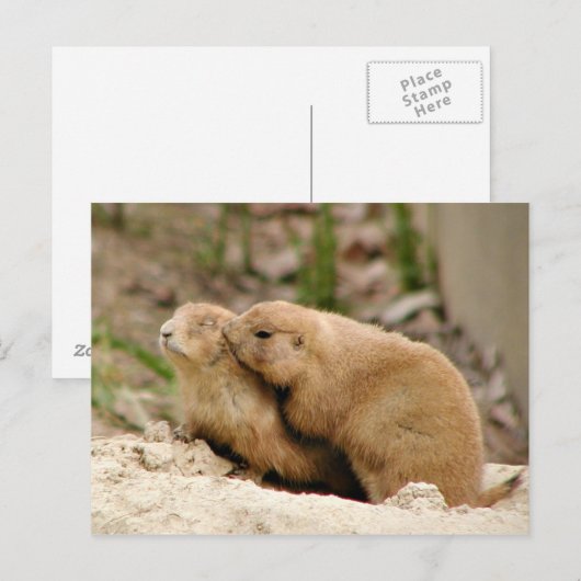 ビッグキス ポストカード (正面/裏面)