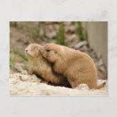 ビッグキス ポストカード (正面)