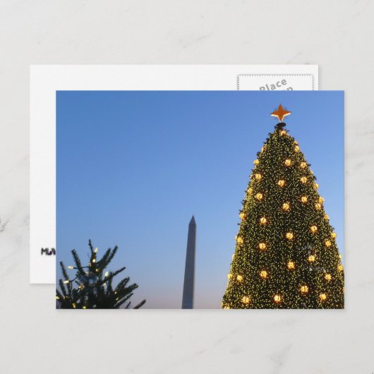 ビッグクリスマスツリーとリトルクリスマスツリーDCでの休日 シーズンポストカード (正面/裏面)