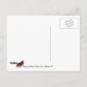 ビッグクリスマスツリーとリトルクリスマスツリーDCでの休日 シーズンポストカード (裏面)