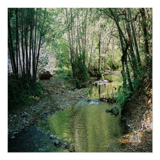 ビッグクリーク… ポスター (正面)