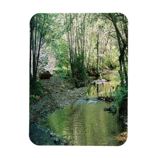 ビッグクリーク… マグネット (縦)