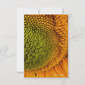 ビッググリーンセンターヒマワリ ノートカード (正面)