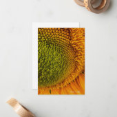 ビッググリーンセンターヒマワリ ノートカード (正面/裏面インサイチュ)