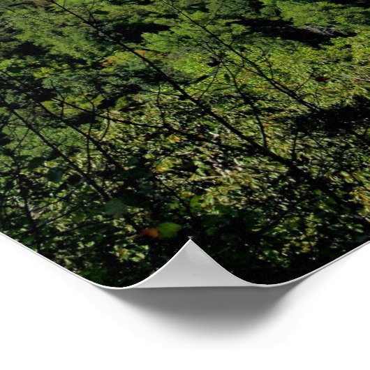 ビッグサウスフォークNRRA ポスター (角)