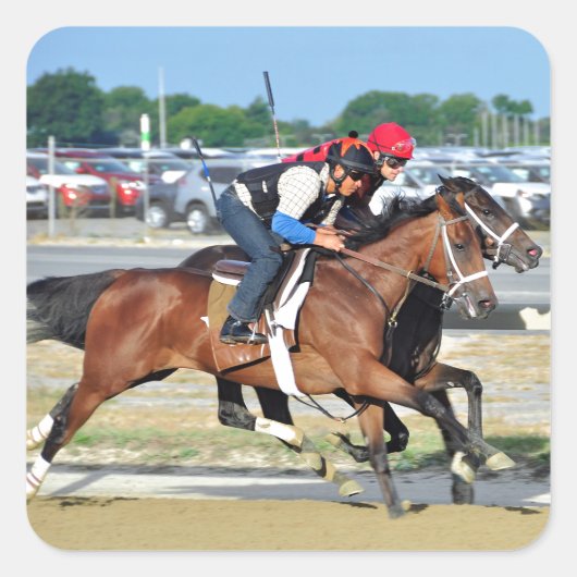 ビッグサンディトレーニング スクエアシール (正面)