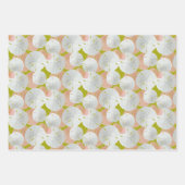 ビッグサンドドルズパターン(の模様が)あるフラット ラッピングペーパーシート (正面2)