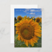 ビッグサンフラワーとブルースカイ ノートカード (正面/裏面)