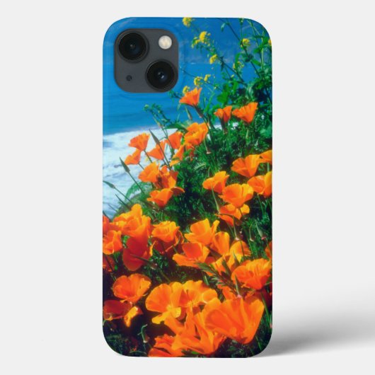 ビッグサーの近くの太平洋沿岸のポピー Case-Mate iPhoneケース (裏面)