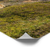 ビッグサー海岸線 |カリフォルニア ポスター (角)