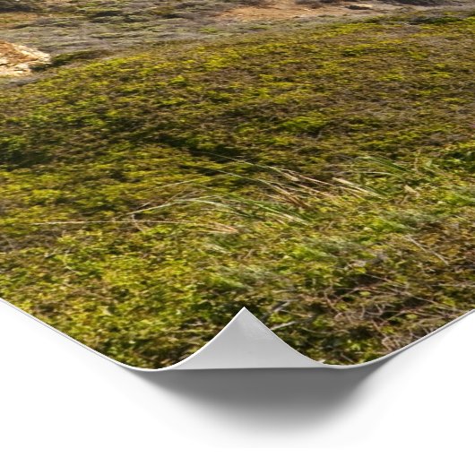 ビッグサー海岸線 |カリフォルニア ポスター (角)