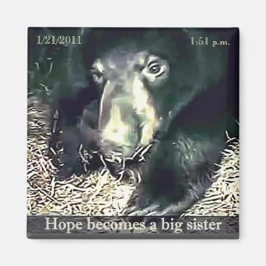 ビッグシスターホープ磁石 マグネット (正面)