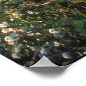 ビッグシュルコーストビスタ ポスター (角)