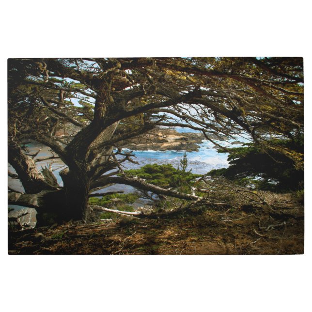 ビッグシュールメタルウォールアート メタルプリント (正面)