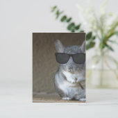 ビッグショットチンチラ ポストカード (スタンド正面)