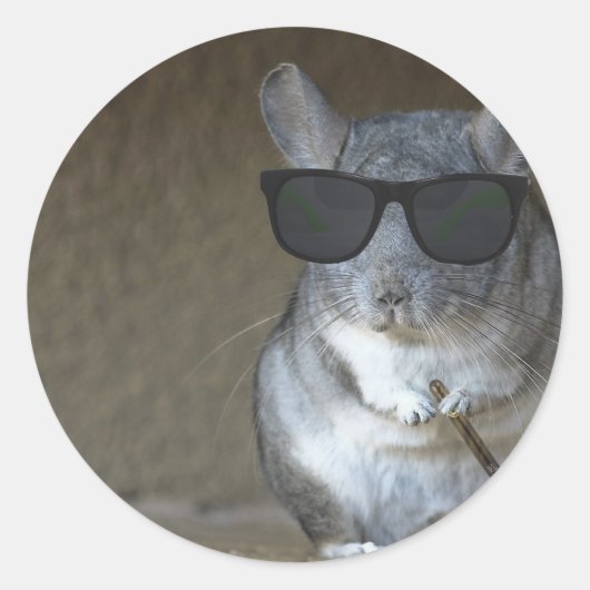 ビッグショットチンチラ ラウンドシール (正面)