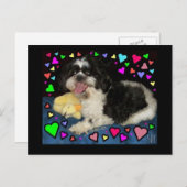 「ビッグジェイク」はがき ポストカード (正面/裏面)