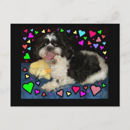 「ビッグジェイク」はがき ポストカード (正面)