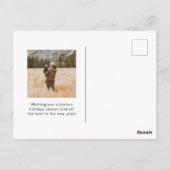 ビッグジョイハンドレターフォトホリディポストカード ポストカード (裏面)