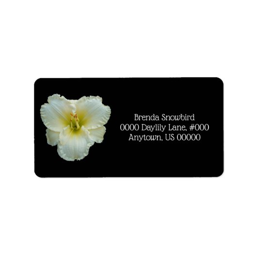 「ビッグスノーバード」ホワイトとイエローデイリー付きブラック ラベル (正面)