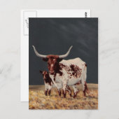 ビッグスポットとリトルスポット ポストカード (正面/裏面)