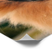 ビッグスマイル ポスター (角)