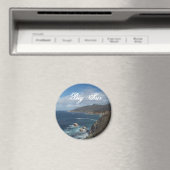 ビッグスールボタン マグネット (インサイチュ (食洗機))