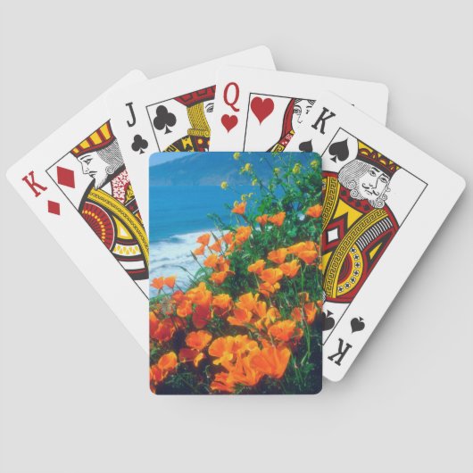 ビッグスール近くの太平洋岸沿いのケシ類 トランプ (裏面)