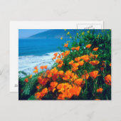 ビッグスール近くの太平洋岸沿いのケシ類 ポストカード (正面/裏面)