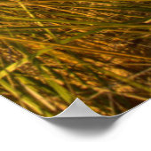 ビッグセーブルポイントライトハウスオンミシガン湖 ポスター (角)