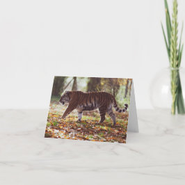 ビッグタイガー誕生日グリーティングカード カード