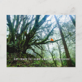 ビッグツリーズアメージングアドベンチャー先生ノート葉書 シーズンポストカード