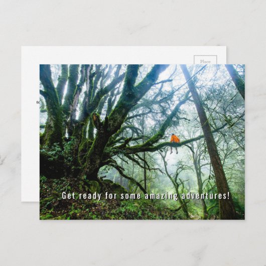 ビッグツリーズアメージングアドベンチャー先生ノート葉書 シーズンポストカード (正面/裏面)