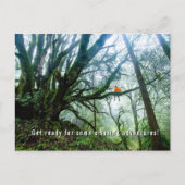 ビッグツリーズアメージングアドベンチャー先生ノート葉書 シーズンポストカード (正面)