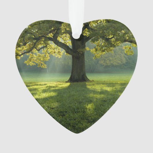 ビッグツリーフォレスト日付フォトカスタム オーナメント (正面)