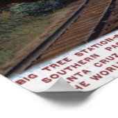 ビッグツリー鉄道駅 ポスター (角)