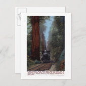 ビッグツリー鉄道駅 ポストカード (正面/裏面)