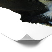 ビッグドッグポスター ポスター (角)